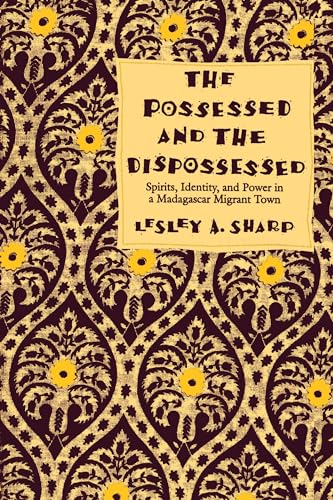 The Possessed and the Dispossessed  Cover