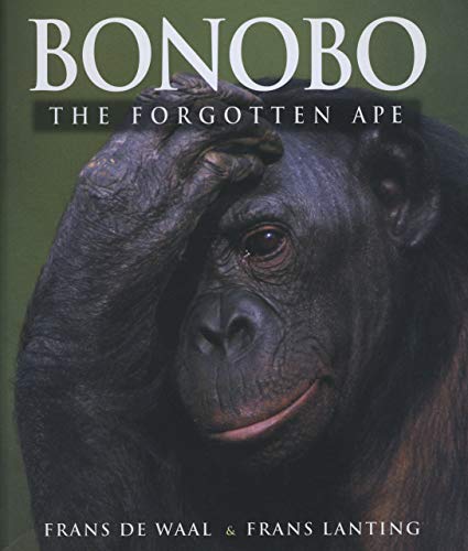 Bonobo Cover