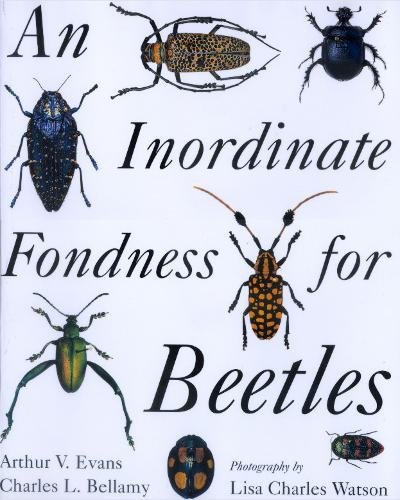 An Inordinate Fondness for Beetles Cover