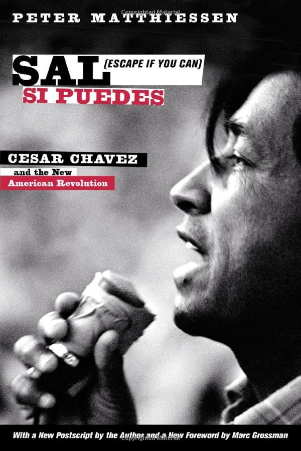 Sal Si Puedes  (Escape If You Can) Cover