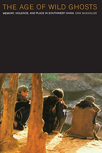 The Age of Wild Ghosts Cover