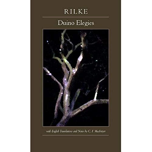 Duino elegies Cover