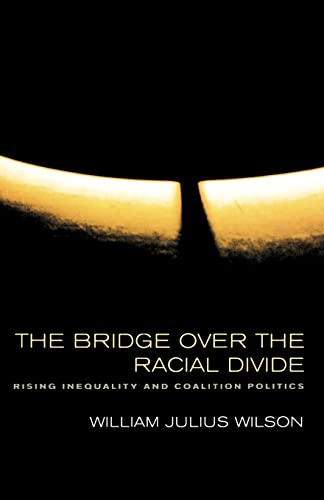 The Bridge over the Racial Divide Cover