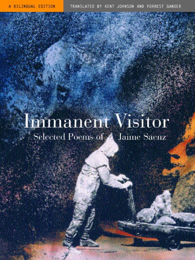 Immanent visitor Cover