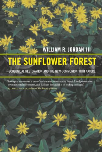 The sunflower forest Cover