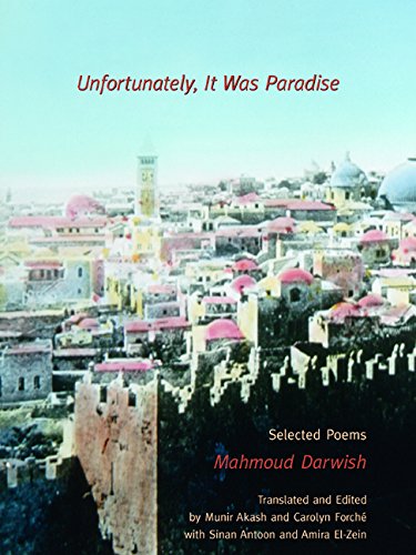Unfortunately, It Was Paradise Cover