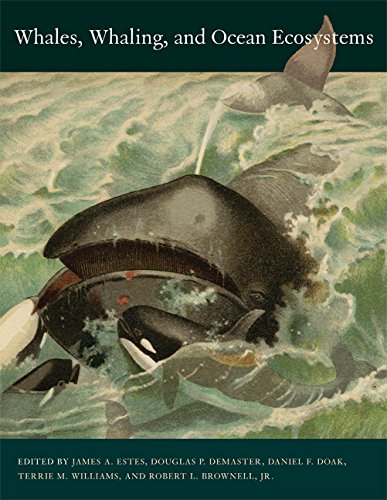 Whales, whaling, and ocean ecosystems Cover
