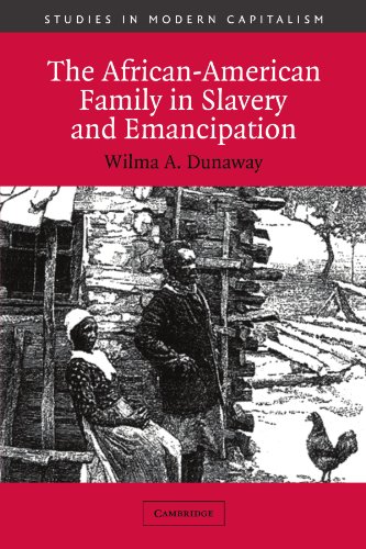 The African-American family in slavery and emancipation Cover