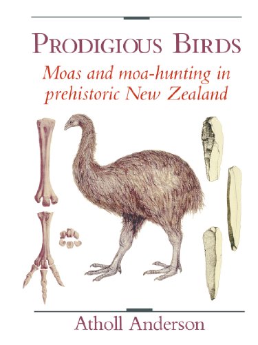 Prodigious Birds Cover