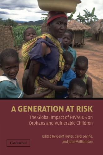 A Generation at Risk Cover