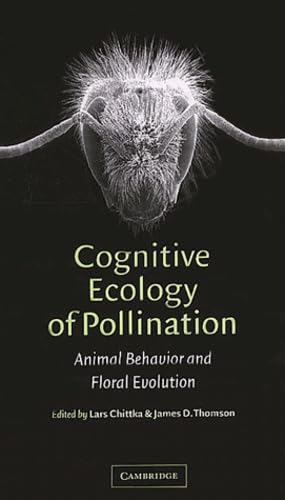 Attempted cover for Book ID: 0521781957