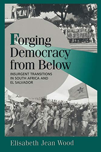 Forging democracy from below Cover