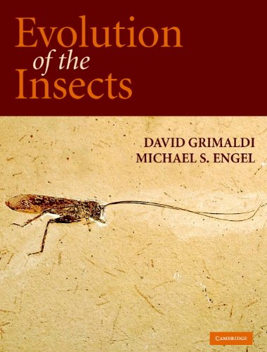 Evolution of the insects Cover