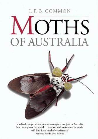 Moths of Australia Cover
