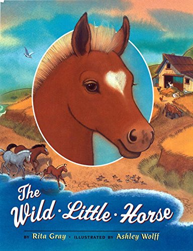 The Wild Little Horse Poster