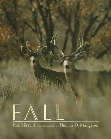 Fall Cover