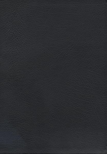 NASB MacArthur Study Bible (Black) Cover