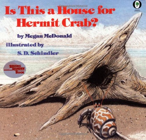 Is this a house for Hermit Crab? Cover
