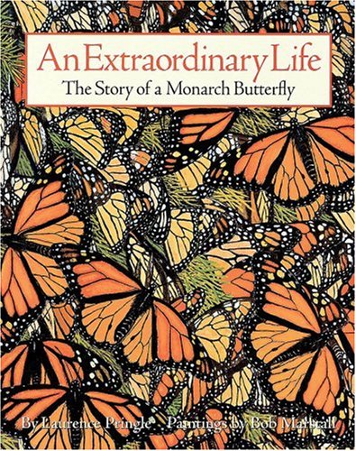 An Extraordinary Life Cover