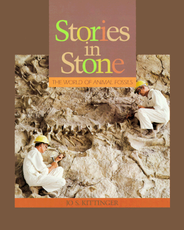 Stories in Stone Cover