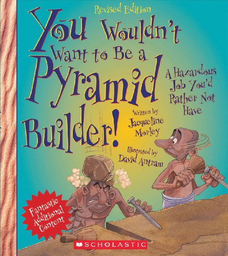 You Wouldn't Want to Be a Pyramid Builder Cover