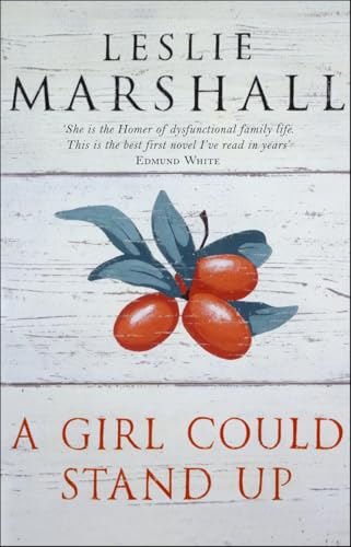A Girl Could Stand Up Cover
