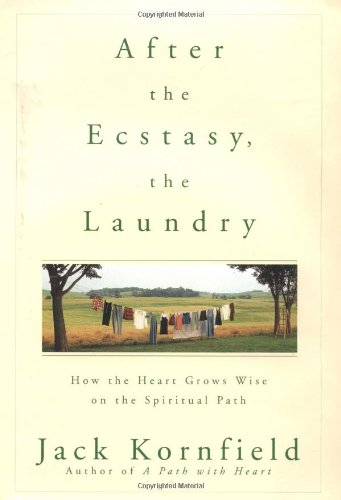 After the Ecstasy, the Laundry Cover