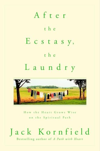 After the Ecstasy, the Laundry Cover