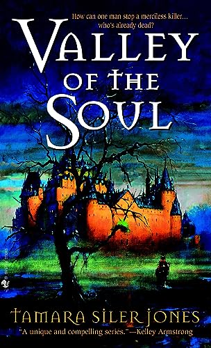Valley of the soul Cover
