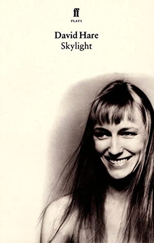 Skylight Cover