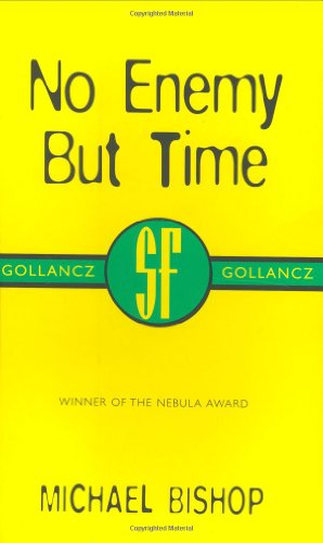 No Enemy But Time Cover