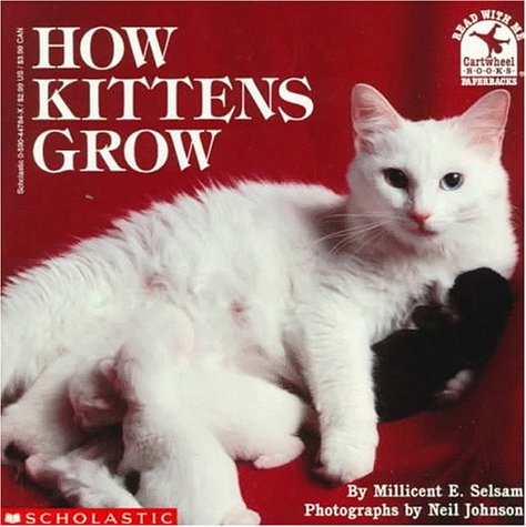 How kittens grow Cover