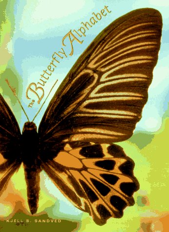 The butterfly alphabet Cover