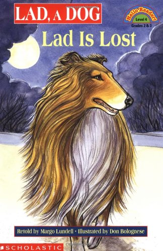 Attempted cover for Book ID: 059092978X