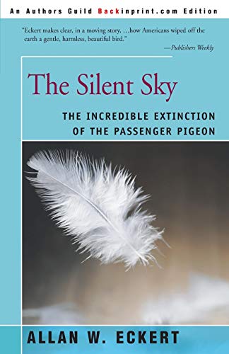 The Silent Sky Cover