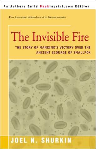 The Invisible Fire Cover