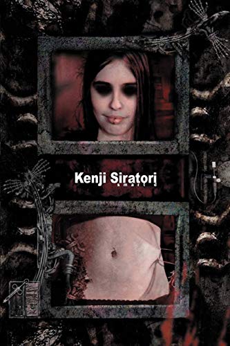 Attempted cover for Book ID: 0595325459