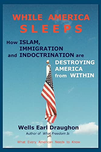 While America Sleeps Cover
