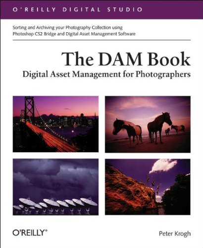 The DAM book Cover