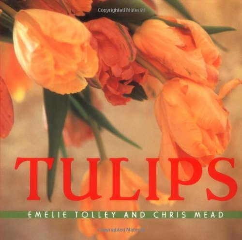Tulips Cover