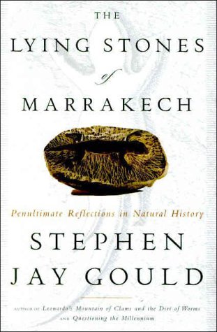 The lying stones of Marrakech Cover