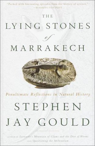 The lying stones of Marrakech Cover