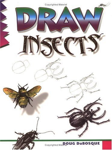 Draw Insects (Learn to Draw (Peel)) Cover