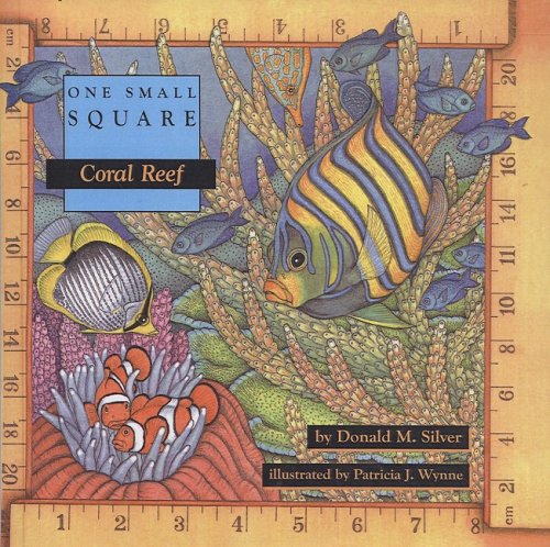 Coral Reef (One Small Square) Cover