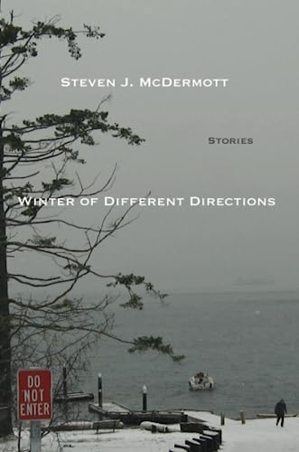 Winter of Different Directions Cover