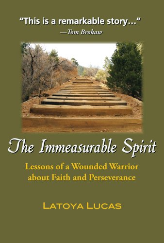 The immeasurable spirit Cover