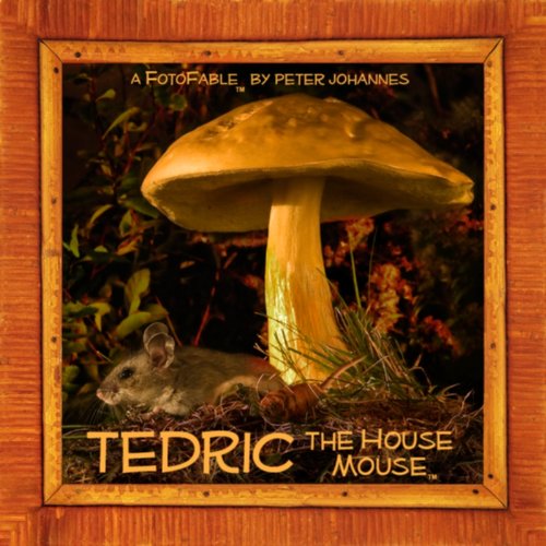 Tedric the House Mouse Cover