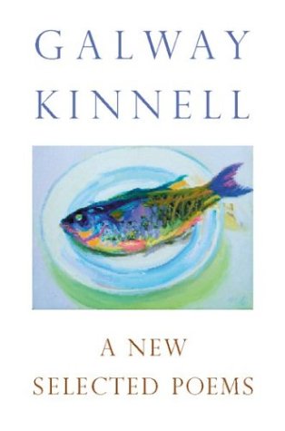A new selected poems Cover