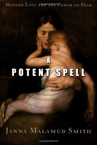 A New York Times Notable Book A Potent Spell Cover