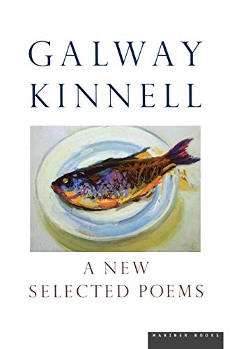 A new selected poems Cover
